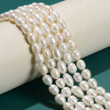 CRCBEADS - White Fresh Water Pearl Oval Rice Beads 6x8mm 7x9mm 8x10mm 10x11mm 15" Strand: 8x10mm