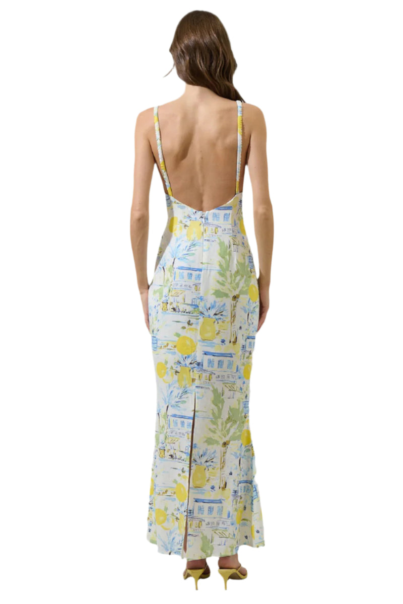 St. Barts Open Back Maxi Dress