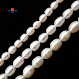 CRCBEADS - White Fresh Water Pearl Oval Rice Beads 6x8mm 7x9mm 8x10mm 10x11mm 15" Strand: 8x10mm