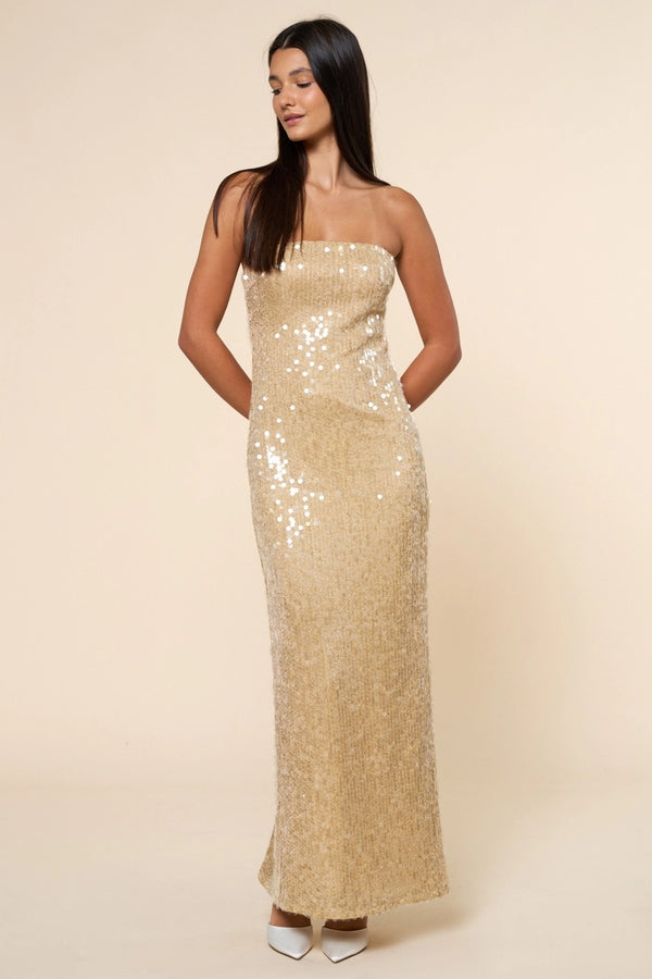 Sequin Strapless Maxi Dress