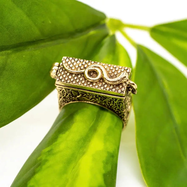 Serpent Keep Sake Ring
